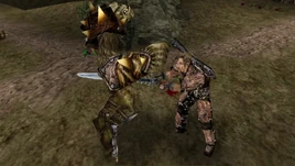 Bezimienny zabijający orka