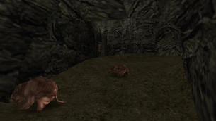 Chata Cavalorna (Gothic, 7).png (2,04 MB) Wejście do składowiska Cavalorna