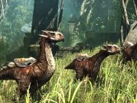 Группа падальщиков на Аргаане