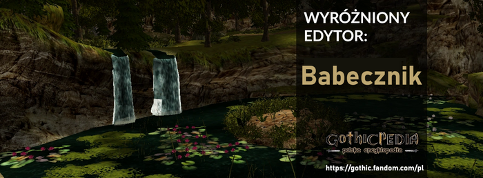 Wyróżniony edytor Babecznik (2025)