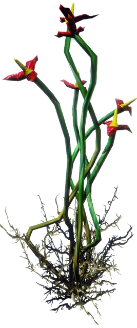 Korzeń leczniczy Gothic3