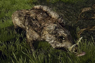  Кабан в Content Mod 3