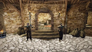 Strażnicy pilnujący wejścia