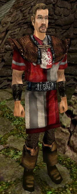 Lekki pancerz straży (by Ossowski21)