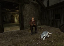 G2NW brahimIpies.png (680 КБ) Ибрагим и его собака