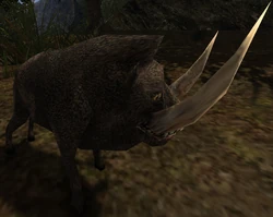 Przeznaczenie StaryRozpruwacz