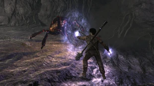 Bezimienny walczący z królową szkodników