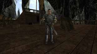 Lee na Dworze Irdorath