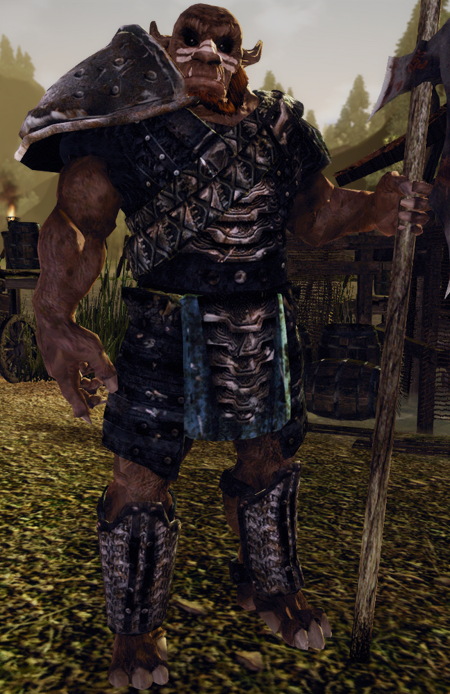 Орк из готики 3. Вархаммер фэнтези орки отряды. Орк 4 1. Гоблин орк тролль огр. Gothic 3 орки.