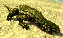 Jaszczur (ArcaniA)