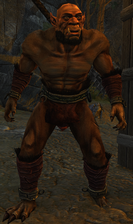 Darruk (ArcaniA)