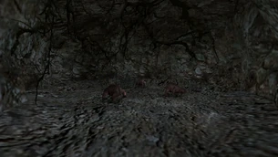 G2 Jaskinia w kotlinie na wschód od Khorinis 07.png (1,18 MB) Ostatnia komora