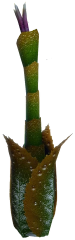 Żelazodyga w wersji ośnieżonej