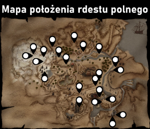 Луговой горец в Долине Рудников.