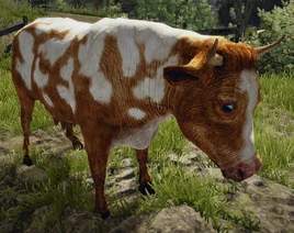 Krowa mleczna Gothic 3