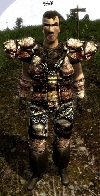 Готика 1 безымянный. Лестер готика 3. Gothic 1 безымянный. Готика безымянный горн лестер мильтен диего. Болотное братство готика 1.