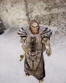 OrkSchamaneNordmar