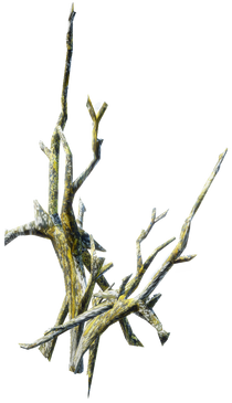 Dragrot G3 snow