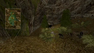 W kotlinie koło miasta