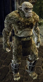 Thorek w Content Mod 3