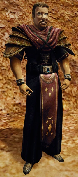 Elitarny pancerz asasyna