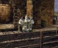 Lee starrt von Vengards Thronsaal aus auf das Meer.