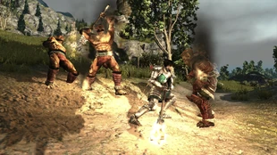 Sługusy Erhaga walka ArcaniA