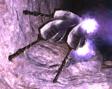 Grzyby strzelające błyskawicami