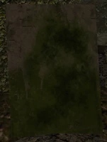 Snoelk.png (670 KB) Grób Snoelka