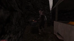 Gothic Edycja rozszerzona 4 (mod).jpg (158 KB)