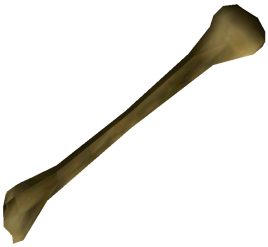 Kość szkieletu (G2NK)