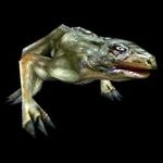 Ящерица-таблица