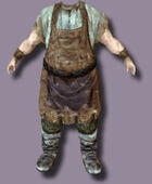 Fat Body Smith