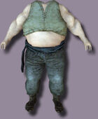 Fat Body Slave