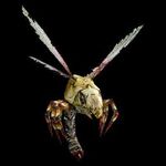 Шершень-таблица