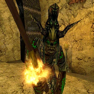 Готика 3 орки. Готика 3 орк шаман. Готика 3 орки. Орк шаман готика 1. Готика 1 шаманы.