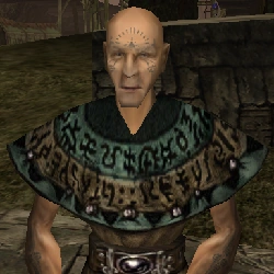 Gothic 1 болотный лагерь. Лестер готика 1. Готика гуру. Готика 2 юберион. Идол тион готика 1.