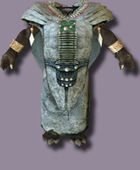 Orc Body Shaman