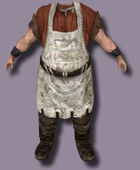 Fat Body Cook