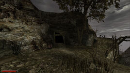 Gothic II