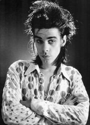 Nick-Cave-nick-cave-24610465-500-688