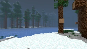 Winter, spring, summer, autumn.