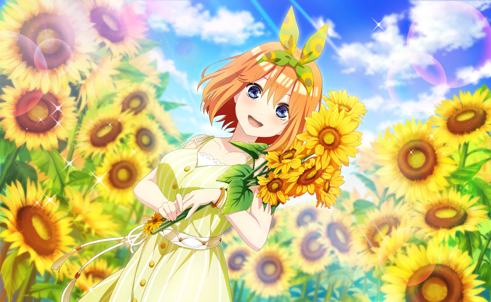 Sunflower Field/Yotsuba | Gotopaz Wiki | Fandom