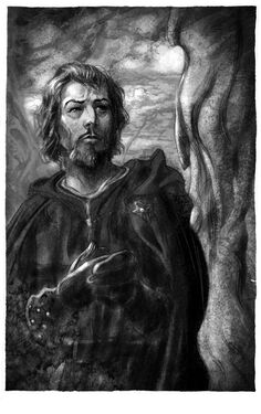 Eddard-Stark-a-song-of-ice-and-fire-31498182-529-840.jpg