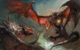 Dragons fighting