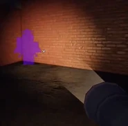 Flashed.jpg (21 KB) A player's Doppel after being flashed.