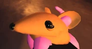 YellowJoeywithpinkskin.jpg (15 KB) Ditto, but with pink skin.