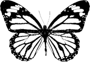 Gets put over mime's face in Mayhem. (Only possible to see in Mayhem)