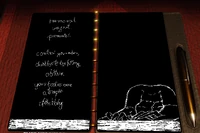 Draindocument.png (340 KB) Drain's document.