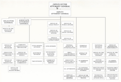 Organizational Chart of the DOJ